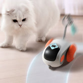 đồ chơi xe đua tự động cho mèo